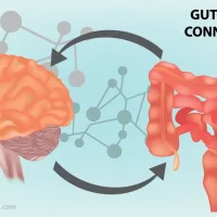 gut-brain-connection