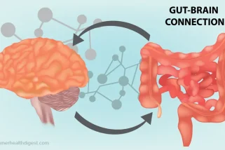 Gut-Brain Connection: How Your Stomach & Brain Work Together