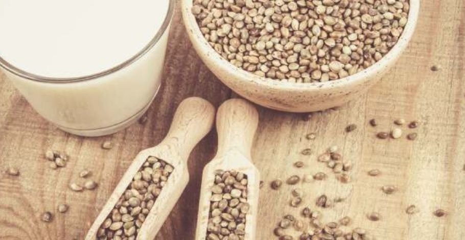 Overview of Hemp Protein – Why Is Hemp Protein So Popular?