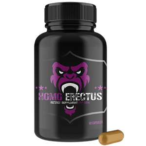 HomoErectus