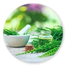 Horsetail Extract