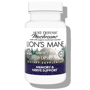 host defense – lion’s mane