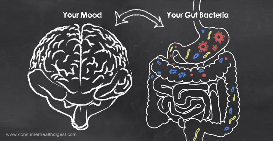Impact of the Gut-Brain Connection