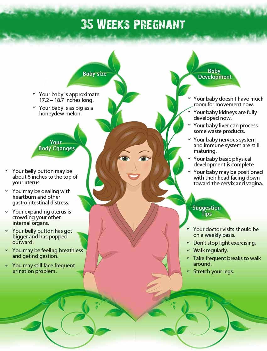 Info 35 weeks pregnant