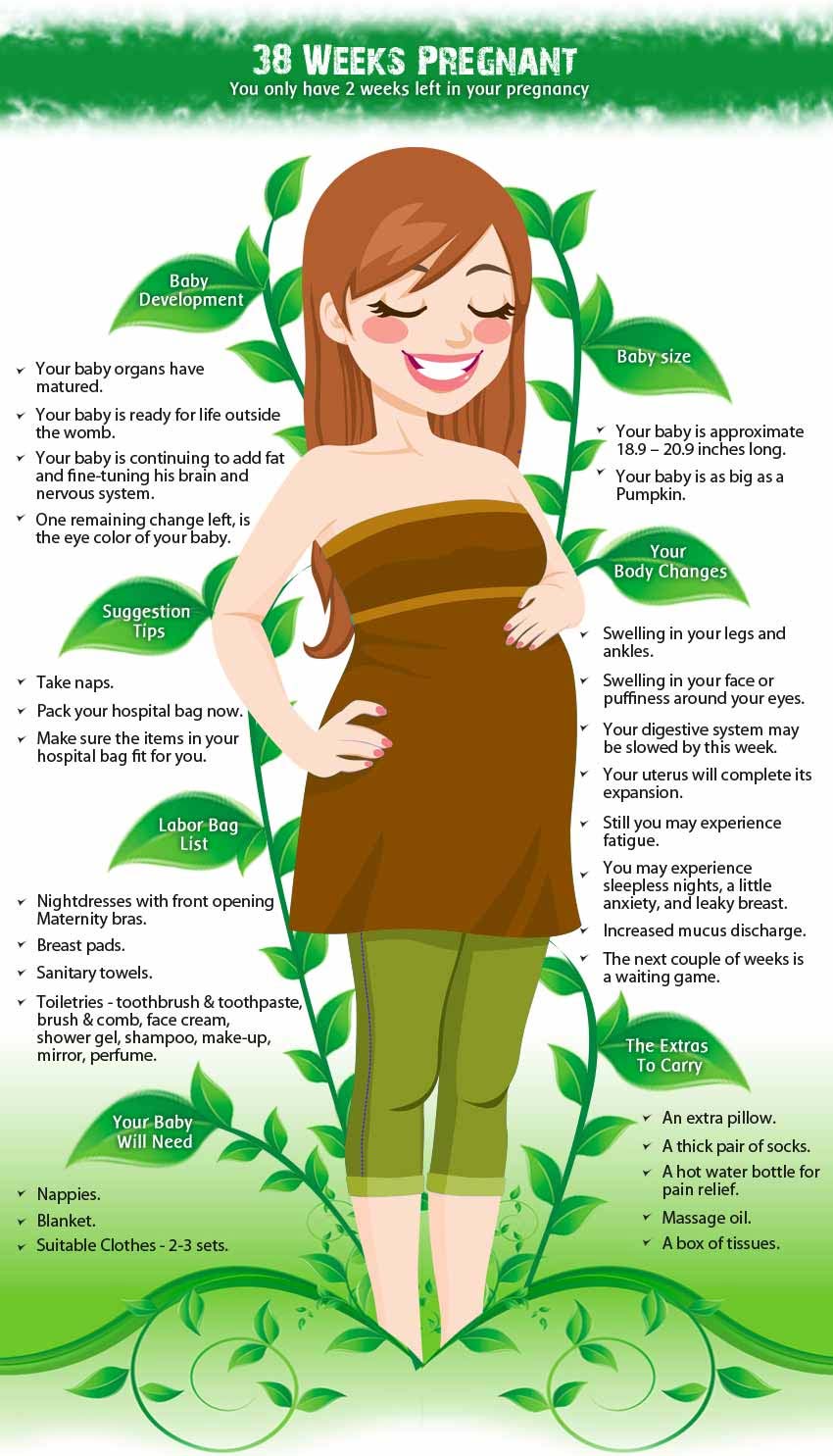 Info 38 Weeks pregnant