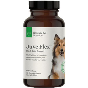 Juve Flex Review: Will It Keep Your Dog Pain-Free?
