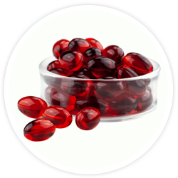 Krill Oil Krill Oil