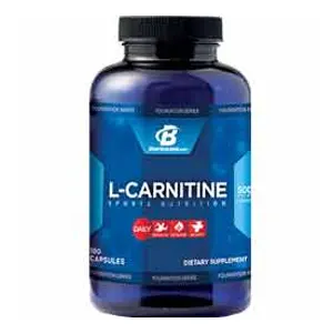 L-Carnitine Reviews  Is it a good dietary supplement?