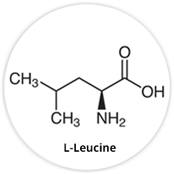L-Leucine L-Leucine