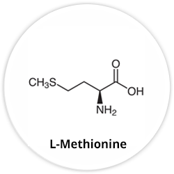 L-Methionine L-Methionine