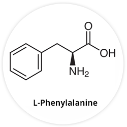 L-Phenylalanine L-Phenylalanine
