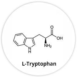 L-Tryptophan L-Tryptophan