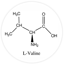 L-Valine L-Valine