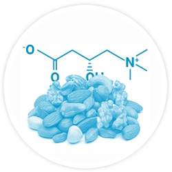L-Carnitine Fumarate L-Carnitine Fumarate