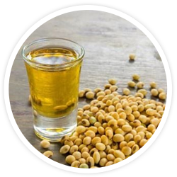 Lecithin Lecithin