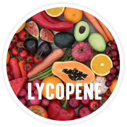 Lycopene Lycopene