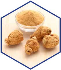 Maca Root
