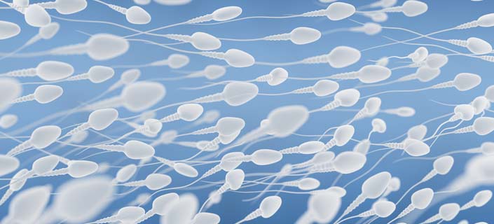 How Does Male Age Affect the Sperm Count?