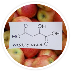 Malic Acid Malic Acid