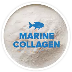 Pure Hydrolyzed Marine Collagen Peptides Pure Hydrolyzed Marine Collagen Peptides