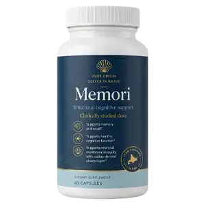Memori Structural Cognitive Support