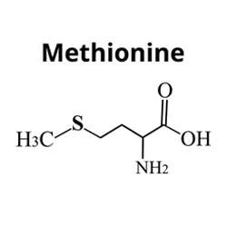 Methionine