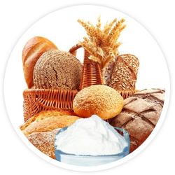 Microcrystalline Cellulose Microcrystalline Cellulose