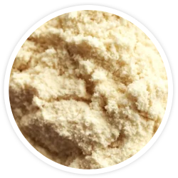 Milk Protein Milk Protein