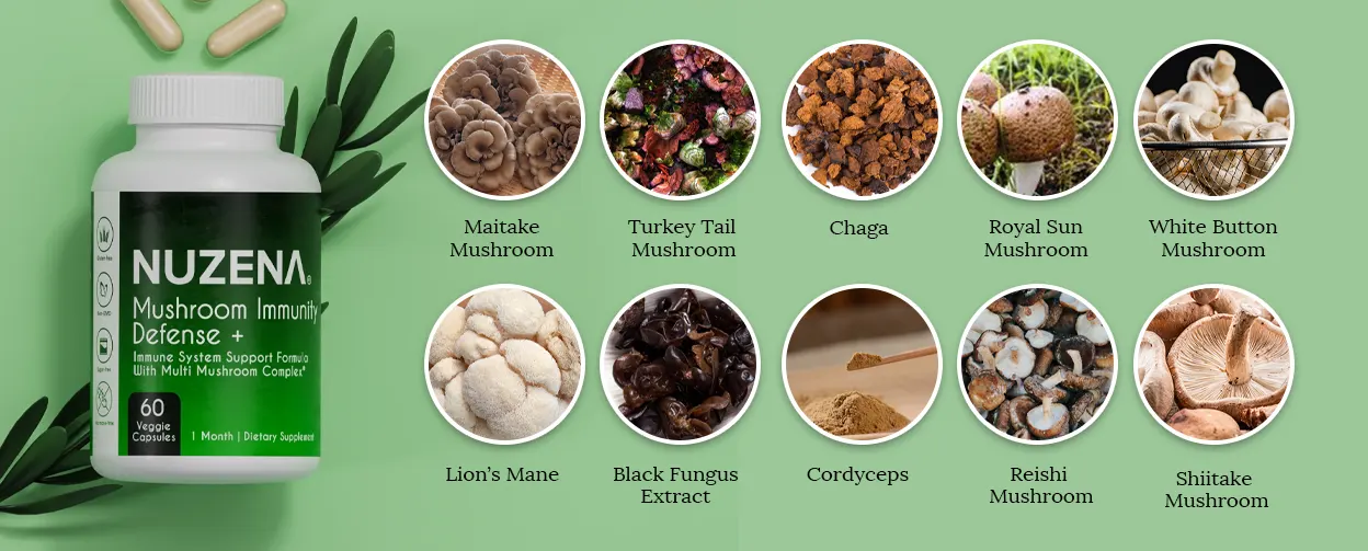 Ingrédients de défense immunitaire à base de champignons+