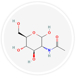 N Acetyl D-Glucosamine N Acetyl D-Glucosamine
