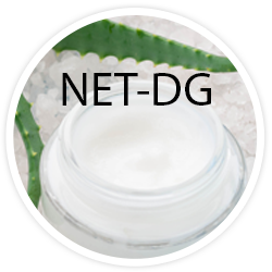 NET-DG NET-DG