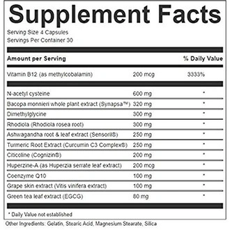 Información suplementaria de Neurella Labs
