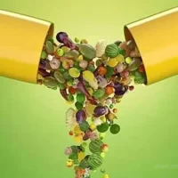 neues pflanzliches Fleisch