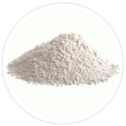 Nitric Oxide Nitric Oxide