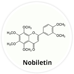 Nobiletin Nobiletin