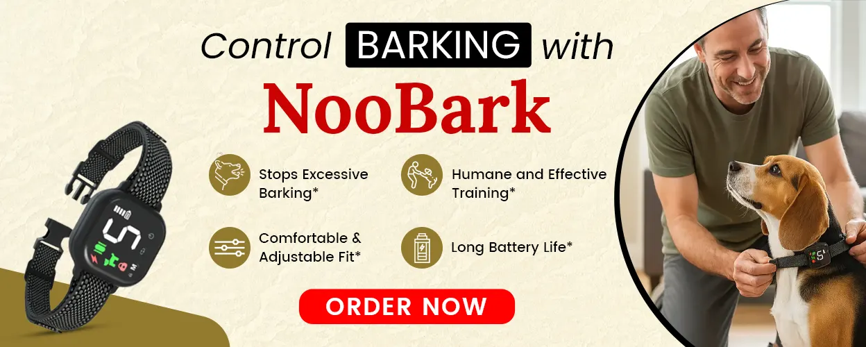 Collier anti-aboiements pour chien NooBark