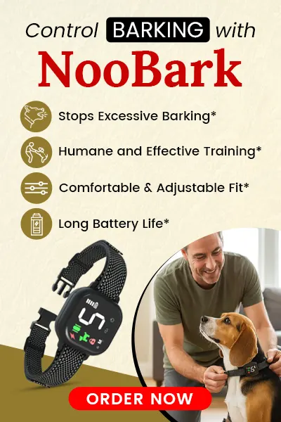 Collier anti-aboiements pour chien NooBark 