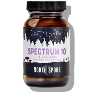 north spore organic ‘spectrum 10’ mushroom capsules