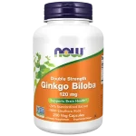 NOW Foods Ginkgo Biloba Review: Is It Worth Trying?