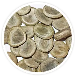 Nux Vomica