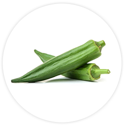 Vainas de okra de la India oriental Vainas de okra de la India oriental