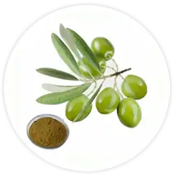 Olive Leaf Extract