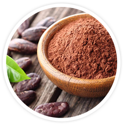 Organic Cacao Powder