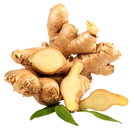 organic-ginger-extract
