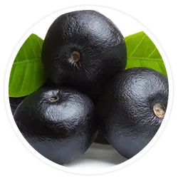 Organic Mediterranean Berry