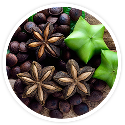 Organic Sacha Inchi Protein