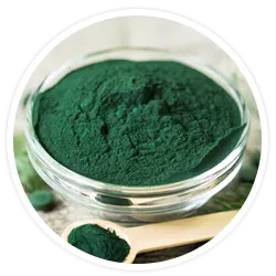 Spirulina Spirulina