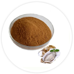 Oyster Extract