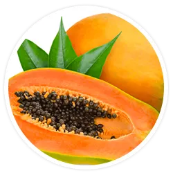 Papaya Seed Extract