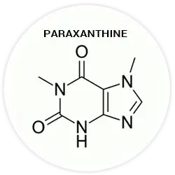 Enfinity® Paraxanthine